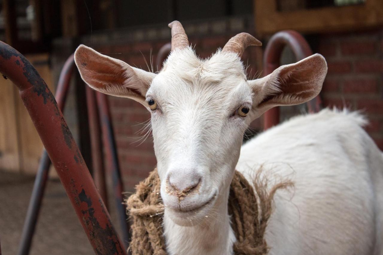 Gibb'S Farm Hotel Karatu Eksteriør billede